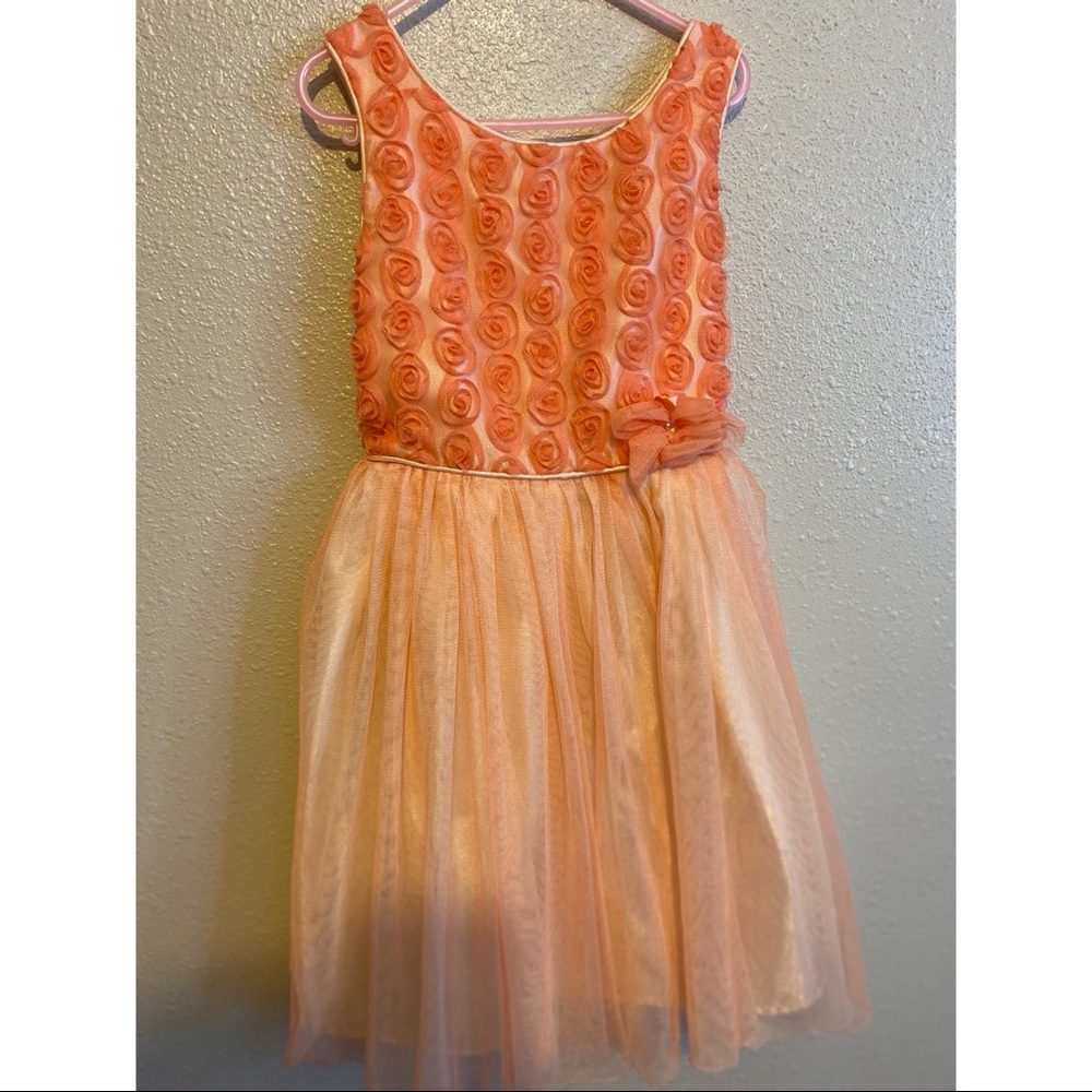 Little girl’s party dress